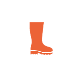 Footwear from MTC Store